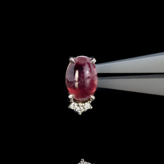 Winza Ruby Royal White Gold 14ga Threaded End