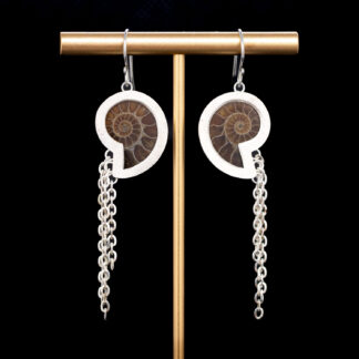 Fossil Ammonite Earring